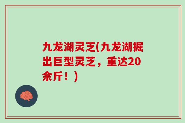 九龙湖灵芝(九龙湖掘出巨型灵芝，重达20余斤！)-第1张图片-灵芝之家