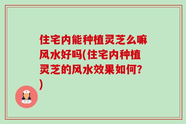 住宅内能种植灵芝么嘛风水好吗(住宅内种植灵芝的风水效果如何?)-第1张图片-灵芝之家 住宅内能种植灵芝么嘛风水好吗(住宅内种植灵芝的风水效果如何?)-第1张图片-灵芝之家