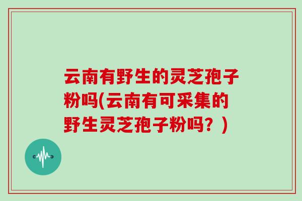 云南有野生的灵芝孢子粉吗(云南有可采集的野生灵芝孢子粉吗?)-第1张图片-灵芝之家 云南有野生的灵芝孢子粉吗(云南有可采集的野生灵芝孢子粉吗?)-第1张图片-灵芝之家