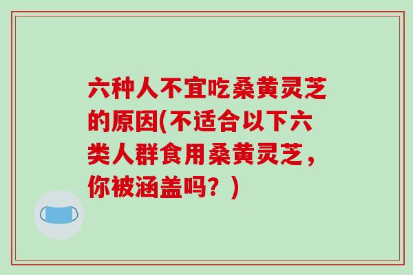 六种人不宜吃桑黄灵芝的原因(不适合以下六类人群食用桑黄灵芝,你被涵盖吗?)-第1张图片-灵芝之家 六种人不宜吃桑黄灵芝的原因(不适合以下六类人群食用桑黄灵芝,你被涵盖吗?)-第1张图片-灵芝之家