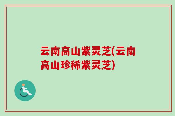 云南高山紫灵芝(云南高山珍稀紫灵芝)-第1张图片-灵芝之家 云南高山紫灵芝(云南高山珍稀紫灵芝)-第1张图片-灵芝之家