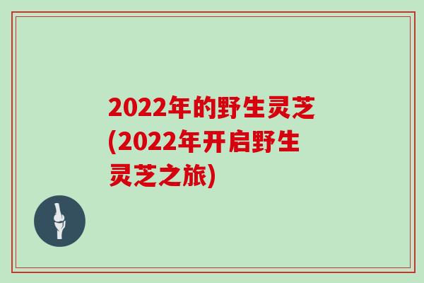 2022年的野生灵芝(2022年开启野生灵芝之旅)-第1张图片-灵芝之家 2022年的野生灵芝(2022年开启野生灵芝之旅)-第1张图片-灵芝之家