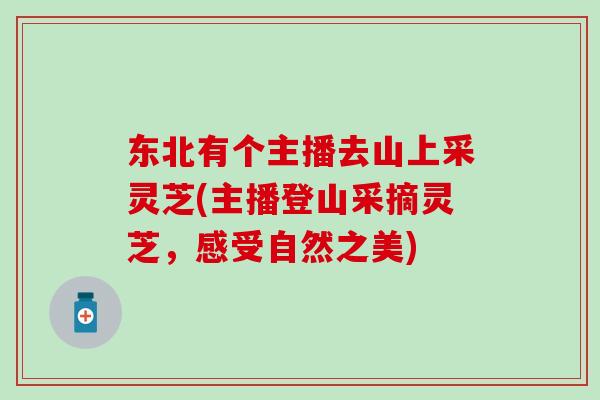 东北有个主播去山上采灵芝(主播登山采摘灵芝,感受自然之美)-第1张图片-灵芝之家 东北有个主播去山上采灵芝(主播登山采摘灵芝,感受自然之美)-第1张图片-灵芝之家