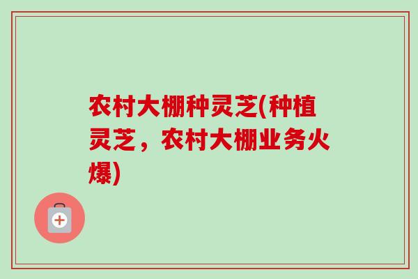 农村大棚种灵芝(种植灵芝,农村大棚业务火爆)-第1张图片-灵芝之家 农村大棚种灵芝(种植灵芝,农村大棚业务火爆)-第1张图片-灵芝之家
