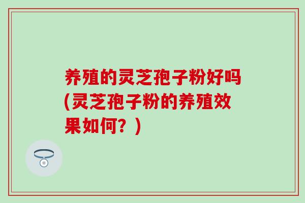 养殖的灵芝孢子粉好吗(灵芝孢子粉的养殖效果如何?)-第1张图片-灵芝之家 养殖的灵芝孢子粉好吗(灵芝孢子粉的养殖效果如何?)-第1张图片-灵芝之家
