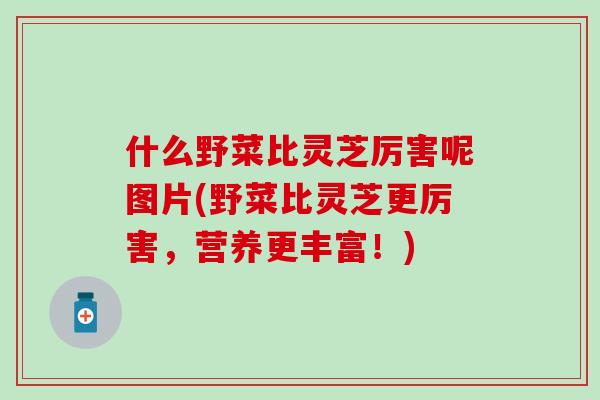 什么野菜比灵芝厉害呢图片(野菜比灵芝更厉害,营养更丰富!)-第1张图片-灵芝之家 什么野菜比灵芝厉害呢图片(野菜比灵芝更厉害,营养更丰富!)-第1张图片-灵芝之家