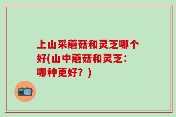 上山采蘑菇和灵芝哪个好(山中蘑菇和灵芝:哪种更好?)-第1张图片-灵芝之家 上山采蘑菇和灵芝哪个好(山中蘑菇和灵芝:哪种更好?)-第1张图片-灵芝之家