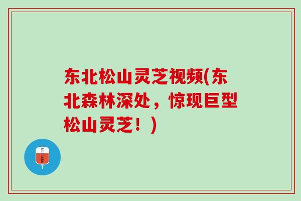 东北松山灵芝视频(东北森林深处,惊现巨型松山灵芝!)-第1张图片-灵芝之家 东北松山灵芝视频(东北森林深处,惊现巨型松山灵芝!)-第1张图片-灵芝之家