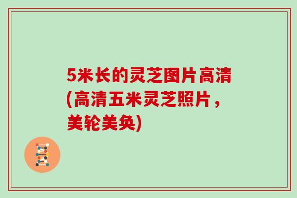 5米长的灵芝图片高清(高清五米灵芝照片，美轮美奂)-第1张图片-灵芝之家