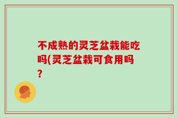 不成熟的灵芝盆栽能吃吗(灵芝盆栽可食用吗？-第1张图片-灵芝之家