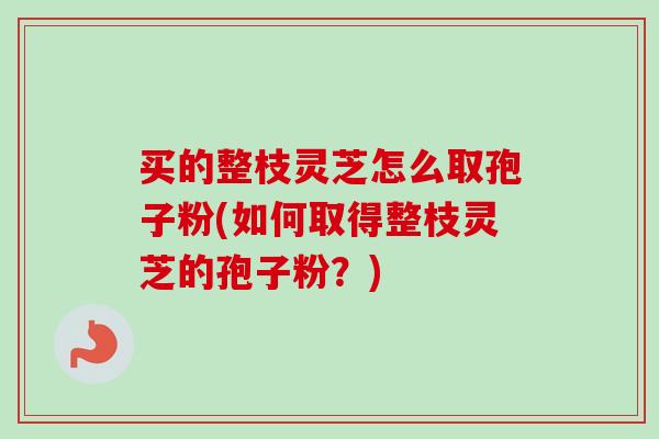 买的整枝灵芝怎么取孢子粉(如何取得整枝灵芝的孢子粉？)-第1张图片-灵芝之家