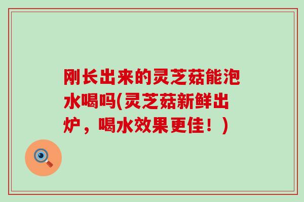 刚长出来的灵芝菇能泡水喝吗(灵芝菇新鲜出炉,喝水效果更佳!)-第1张图片-灵芝之家 刚长出来的灵芝菇能泡水喝吗(灵芝菇新鲜出炉,喝水效果更佳!)-第1张图片-灵芝之家