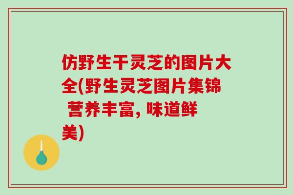 仿野生干灵芝的图片大全(野生灵芝图片集锦 营养丰富, 味道鲜美)-第1张图片-灵芝之家