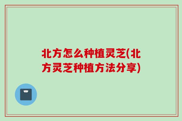 北方怎么种植灵芝(北方灵芝种植方法分享)-第1张图片-灵芝之家