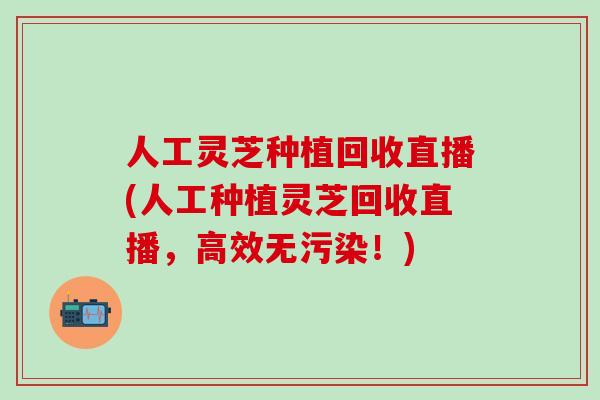 人工灵芝种植回收直播(人工种植灵芝回收直播，高效无污染！)-第1张图片-灵芝之家