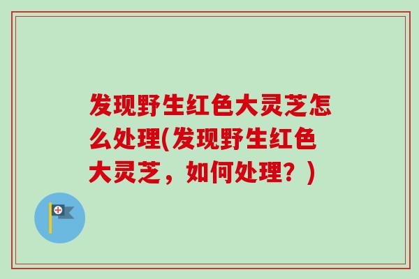 发现野生红色大灵芝怎么处理(发现野生红色大灵芝,如何处理?)-第1张图片-灵芝之家 发现野生红色大灵芝怎么处理(发现野生红色大灵芝,如何处理?)-第1张图片-灵芝之家