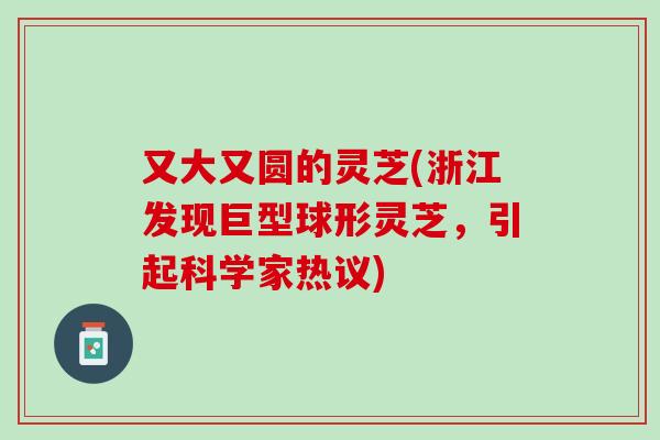 又大又圆的灵芝(浙江发现巨型球形灵芝,引起科学家热议)-第1张图片-灵芝之家 又大又圆的灵芝(浙江发现巨型球形灵芝,引起科学家热议)-第1张图片-灵芝之家