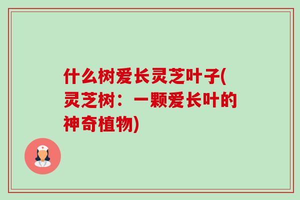 什么树爱长灵芝叶子(灵芝树:一颗爱长叶的神奇植物)-第1张图片-灵芝之家 什么树爱长灵芝叶子(灵芝树:一颗爱长叶的神奇植物)-第1张图片-灵芝之家