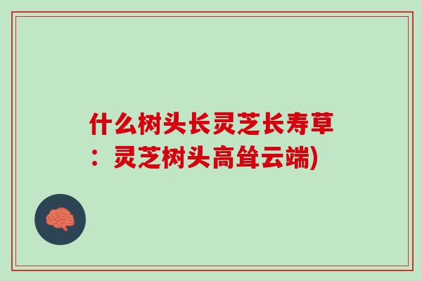 什么树头长灵芝长寿草：灵芝树头高耸云端)-第1张图片-灵芝之家