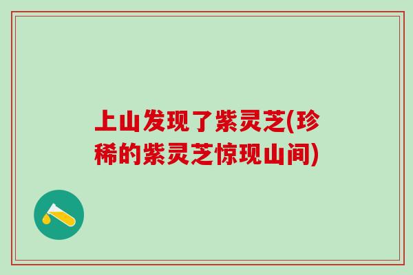 上山发现了紫灵芝(珍稀的紫灵芝惊现山间)-第1张图片-灵芝之家