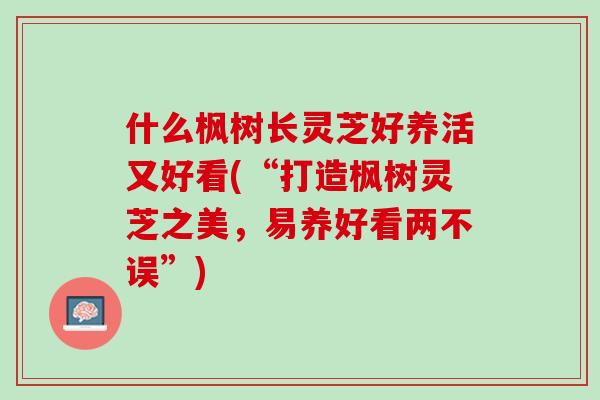 什么枫树长灵芝好养活又好看(“打造枫树灵芝之美,易养好看两不误”)-第1张图片-灵芝之家 什么枫树长灵芝好养活又好看(“打造枫树灵芝之美,易养好看两不误”)-第1张图片-灵芝之家