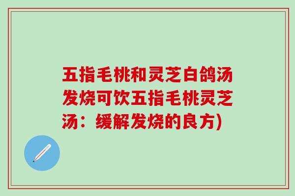 五指毛桃和灵芝白鸽汤发烧可饮五指毛桃灵芝汤：缓解发烧的良方)-第1张图片-灵芝之家