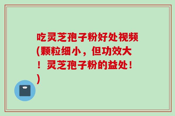吃灵芝孢子粉好处视频(颗粒细小,但功效大!灵芝孢子粉的益处!)-第1张图片-灵芝之家 吃灵芝孢子粉好处视频(颗粒细小,但功效大!灵芝孢子粉的益处!)-第1张图片-灵芝之家