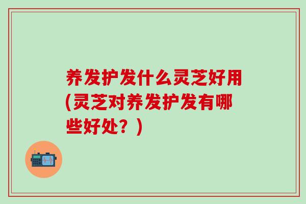 养发护发什么灵芝好用(灵芝对养发护发有哪些好处？)-第1张图片-灵芝之家