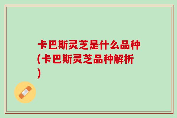 卡巴斯灵芝是什么品种(卡巴斯灵芝品种解析)-第1张图片-灵芝之家 卡巴斯灵芝是什么品种(卡巴斯灵芝品种解析)-第1张图片-灵芝之家