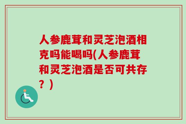 人参鹿茸和灵芝泡酒相克吗能喝吗(人参鹿茸和灵芝泡酒是否可共存？)-第1张图片-灵芝之家