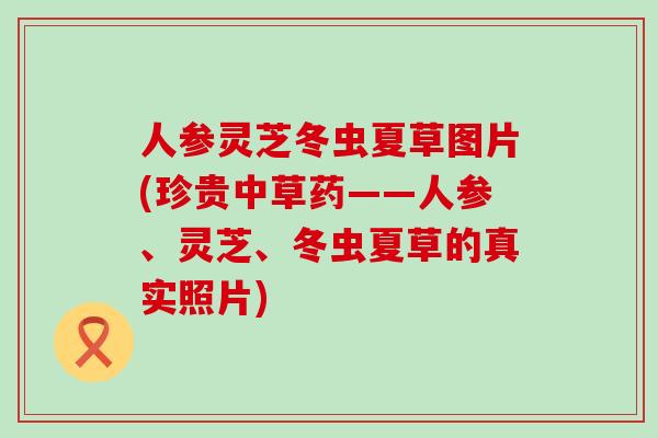 人参灵芝冬虫夏草图片(珍贵中草药——人参、灵芝、冬虫夏草的真实照片)-第1张图片-灵芝之家 人参灵芝冬虫夏草图片(珍贵中草药——人参、灵芝、冬虫夏草的真实照片)-第1张图片-灵芝之家