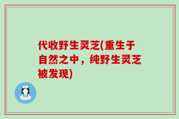 代收野生灵芝(重生于自然之中,纯野生灵芝被发现)-第1张图片-灵芝之家 代收野生灵芝(重生于自然之中,纯野生灵芝被发现)-第1张图片-灵芝之家