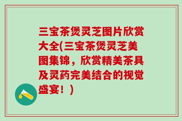 三宝茶煲灵芝图片欣赏大全(三宝茶煲灵芝美图集锦,欣赏精美茶具及灵药完美结合的视觉盛宴!)-第1张图片-灵芝之家 三宝茶煲灵芝图片欣赏大全(三宝茶煲灵芝美图集锦,欣赏精美茶具及灵药完美结合的视觉盛宴!)-第1张图片-灵芝之家