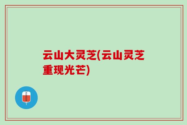 云山大灵芝(云山灵芝重现光芒)-第1张图片-灵芝之家