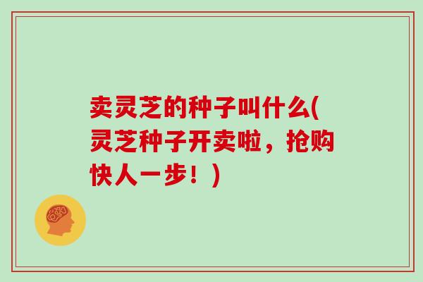 卖灵芝的种子叫什么(灵芝种子开卖啦，抢购快人一步！)-第1张图片-灵芝之家