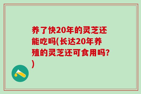 养了快20年的灵芝还能吃吗(长达20年养殖的灵芝还可食用吗?)-第1张图片-灵芝之家 养了快20年的灵芝还能吃吗(长达20年养殖的灵芝还可食用吗?)-第1张图片-灵芝之家