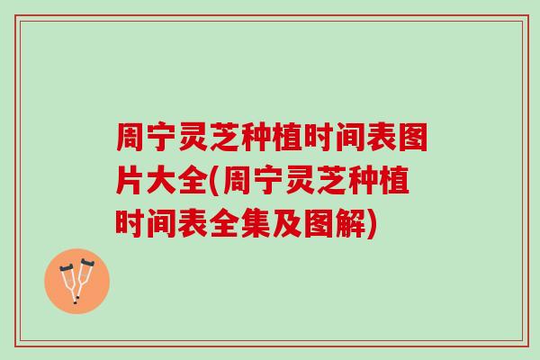 周宁灵芝种植时间表图片大全(周宁灵芝种植时间表全集及图解)-第1张图片-灵芝之家