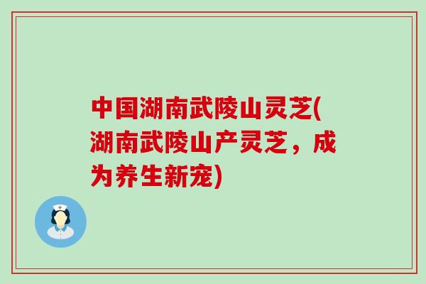 中国湖南武陵山灵芝(湖南武陵山产灵芝,成为养生新宠)-第1张图片-灵芝之家 中国湖南武陵山灵芝(湖南武陵山产灵芝,成为养生新宠)-第1张图片-灵芝之家