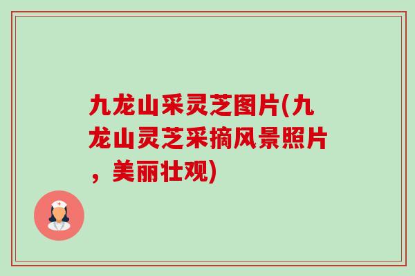 九龙山采灵芝图片(九龙山灵芝采摘风景照片，美丽壮观)-第1张图片-灵芝之家