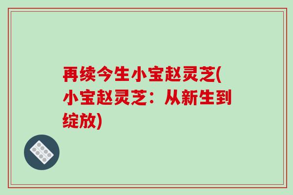 再续今生小宝赵灵芝(小宝赵灵芝:从新生到绽放)-第1张图片-灵芝之家 再续今生小宝赵灵芝(小宝赵灵芝:从新生到绽放)-第1张图片-灵芝之家