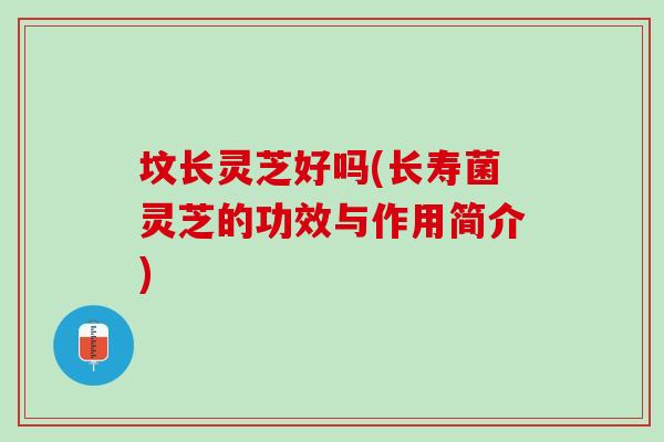 坟长灵芝好吗(长寿菌灵芝的功效与作用简介)-第1张图片-灵芝之家 坟长灵芝好吗(长寿菌灵芝的功效与作用简介)-第1张图片-灵芝之家