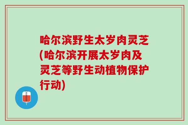 哈尔滨野生太岁肉灵芝(哈尔滨开展太岁肉及灵芝等野生动植物保护行动)-第1张图片-灵芝之家 哈尔滨野生太岁肉灵芝(哈尔滨开展太岁肉及灵芝等野生动植物保护行动)-第1张图片-灵芝之家