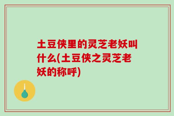 土豆侠里的灵芝老妖叫什么(土豆侠之灵芝老妖的称呼)-第1张图片-灵芝之家 土豆侠里的灵芝老妖叫什么(土豆侠之灵芝老妖的称呼)-第1张图片-灵芝之家