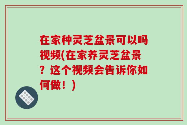 在家种灵芝盆景可以吗视频(在家养灵芝盆景?这个视频会告诉你如何做!)-第1张图片-灵芝之家 在家种灵芝盆景可以吗视频(在家养灵芝盆景?这个视频会告诉你如何做!)-第1张图片-灵芝之家