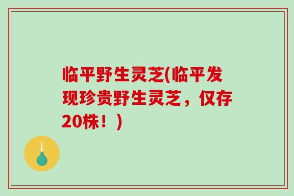 临平野生灵芝(临平发现珍贵野生灵芝,仅存20株!)-第1张图片-灵芝之家 临平野生灵芝(临平发现珍贵野生灵芝,仅存20株!)-第1张图片-灵芝之家