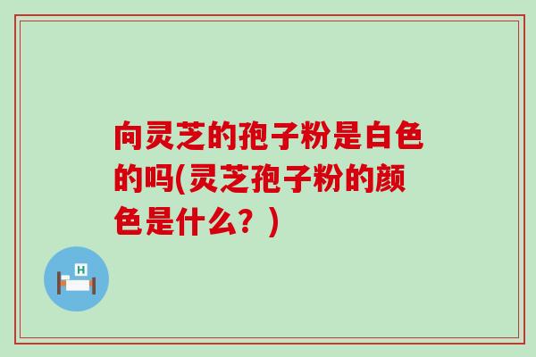向灵芝的孢子粉是白色的吗(灵芝孢子粉的颜色是什么?)-第1张图片-灵芝之家 向灵芝的孢子粉是白色的吗(灵芝孢子粉的颜色是什么?)-第1张图片-灵芝之家