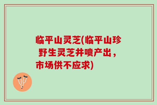 临平山灵芝(临平山珍 野生灵芝井喷产出,市场供不应求)-第1张图片-灵芝之家 临平山灵芝(临平山珍 野生灵芝井喷产出,市场供不应求)-第1张图片-灵芝之家