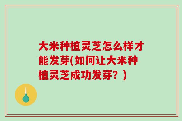 大米种植灵芝怎么样才能发芽(如何让大米种植灵芝成功发芽?)-第1张图片-灵芝之家 大米种植灵芝怎么样才能发芽(如何让大米种植灵芝成功发芽?)-第1张图片-灵芝之家