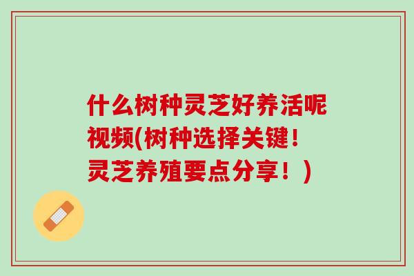 什么树种灵芝好养活呢视频(树种选择关键！灵芝养殖要点分享！)-第1张图片-灵芝之家