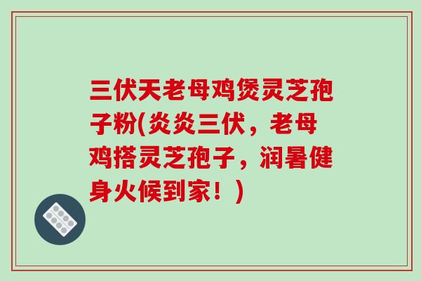 三伏天老母鸡煲灵芝孢子粉(炎炎三伏,老母鸡搭灵芝孢子,润暑健身火候到家!)-第1张图片-灵芝之家 三伏天老母鸡煲灵芝孢子粉(炎炎三伏,老母鸡搭灵芝孢子,润暑健身火候到家!)-第1张图片-灵芝之家